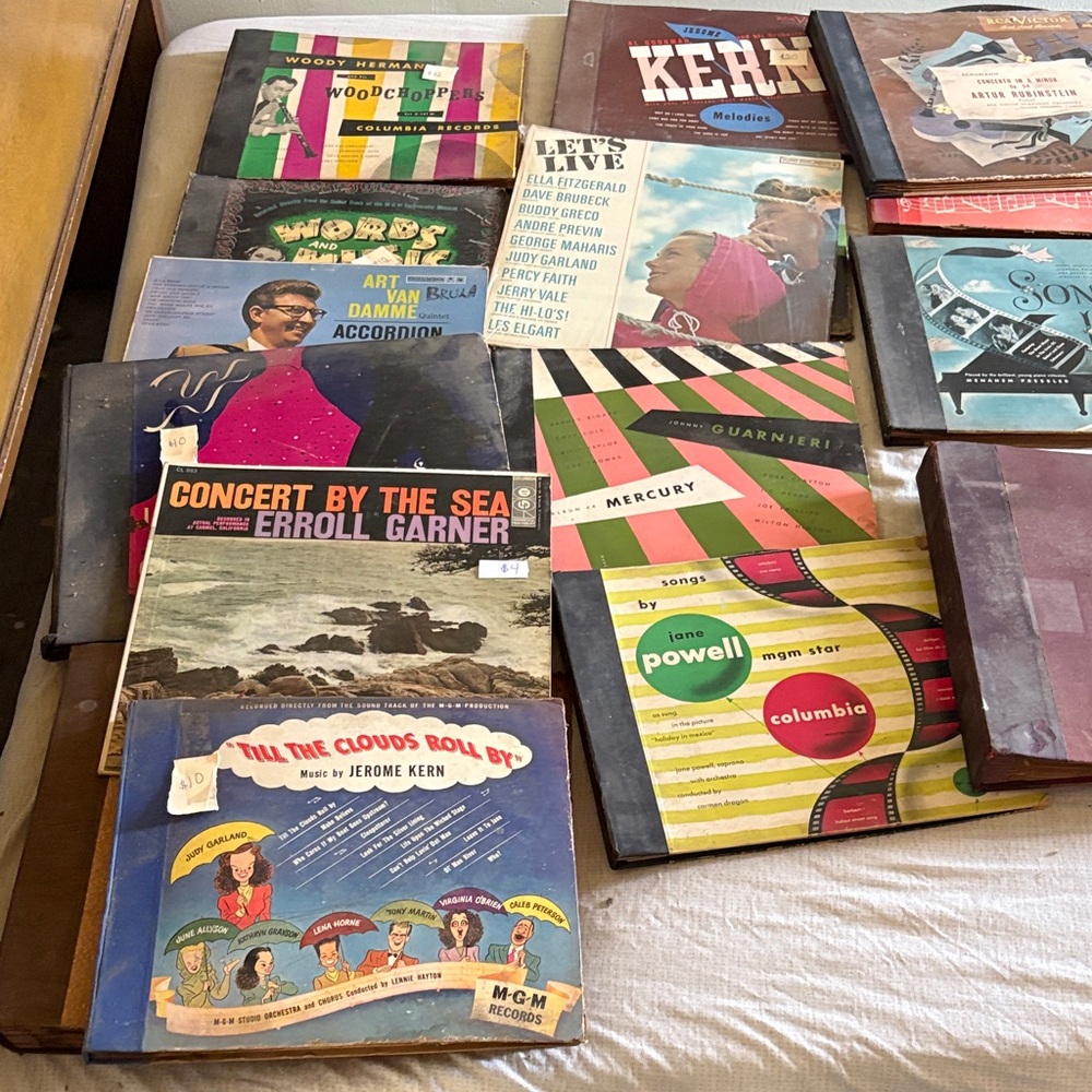 Vintage Vinyl Record Collection
